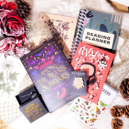 Owlcrate November 2020